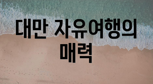 대만 자유여행의 매력