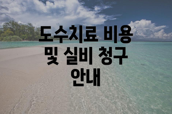 도수치료 비용 및 실비 청구 안내