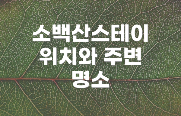 소백산스테이 위치와 주변 명소