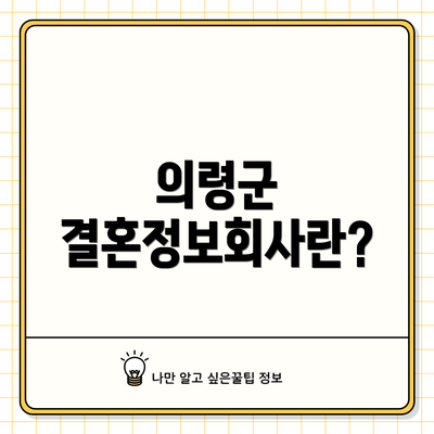 의령군 결혼정보회사란?