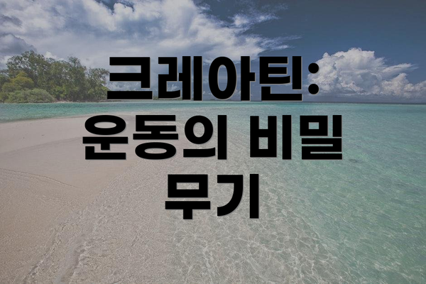 크레아틴: 운동의 비밀 무기