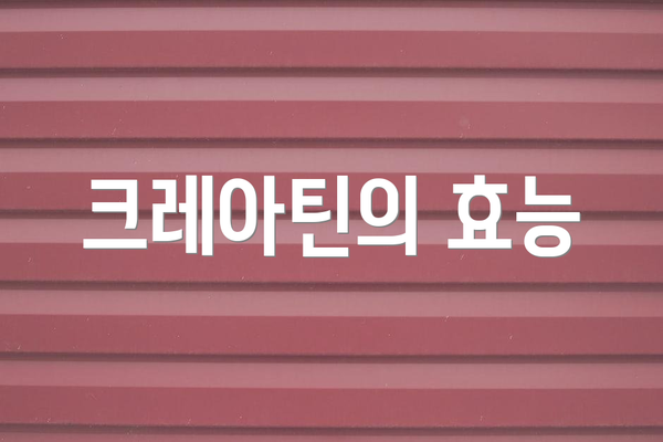 크레아틴의 효능