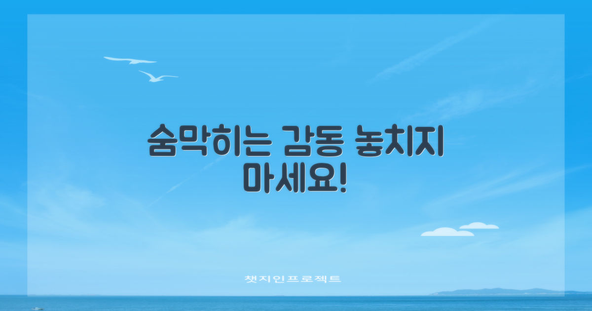 숨막히는 감동, 직접 확인하세요!