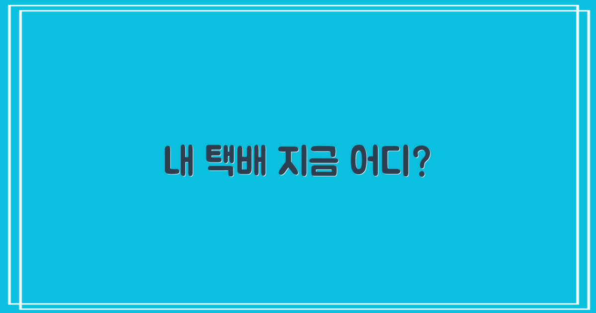 내 택배, 지금 어디쯤일까?