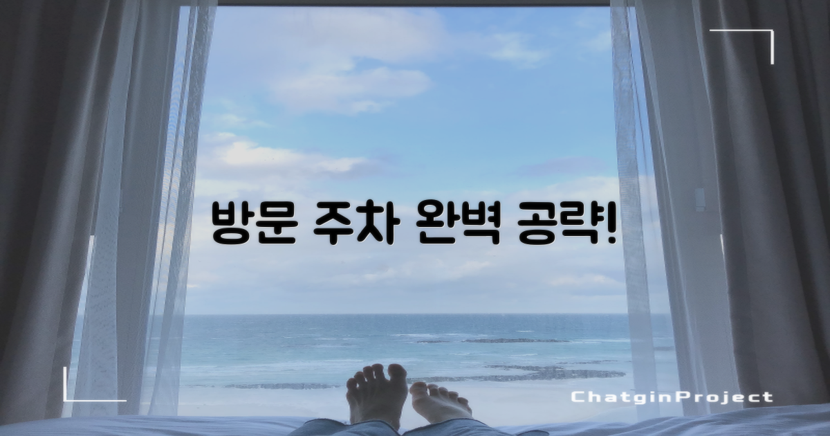 방문 주차 완벽 가이드