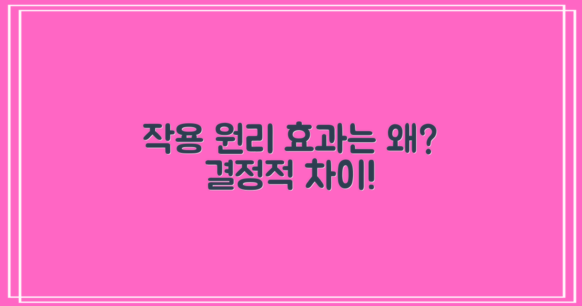 작용 원리 및 효과 차이