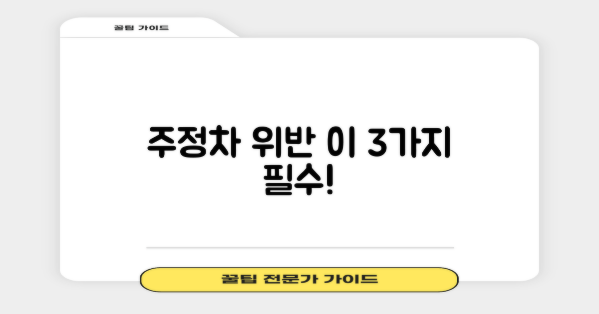 주정차 위반 3가지 확인