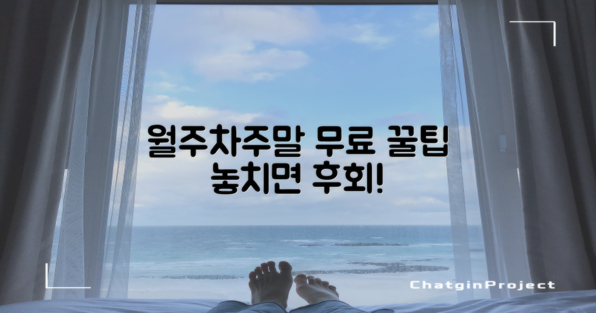 월주차/주말 무료 이용 팁