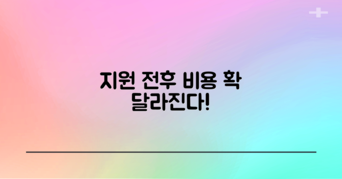 비용: 지원 전후 비교